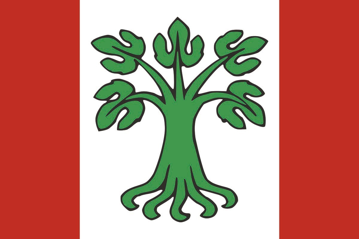 Bandera de Paderne de Allariz de alta calidad para exterior Bandera de Paderne de Allariz de alta calidad para exterior