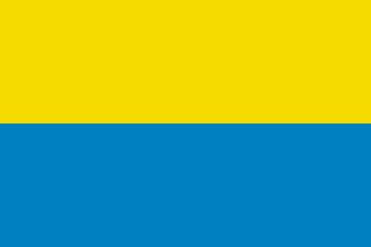Bandera de Pazos de Borbén de alta calidad para exterior Bandera de Pazos de Borbén de alta calidad para exterior