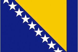 Bandera de Bosnia y Herzegobina con escudo de alta calidad para exterior 123