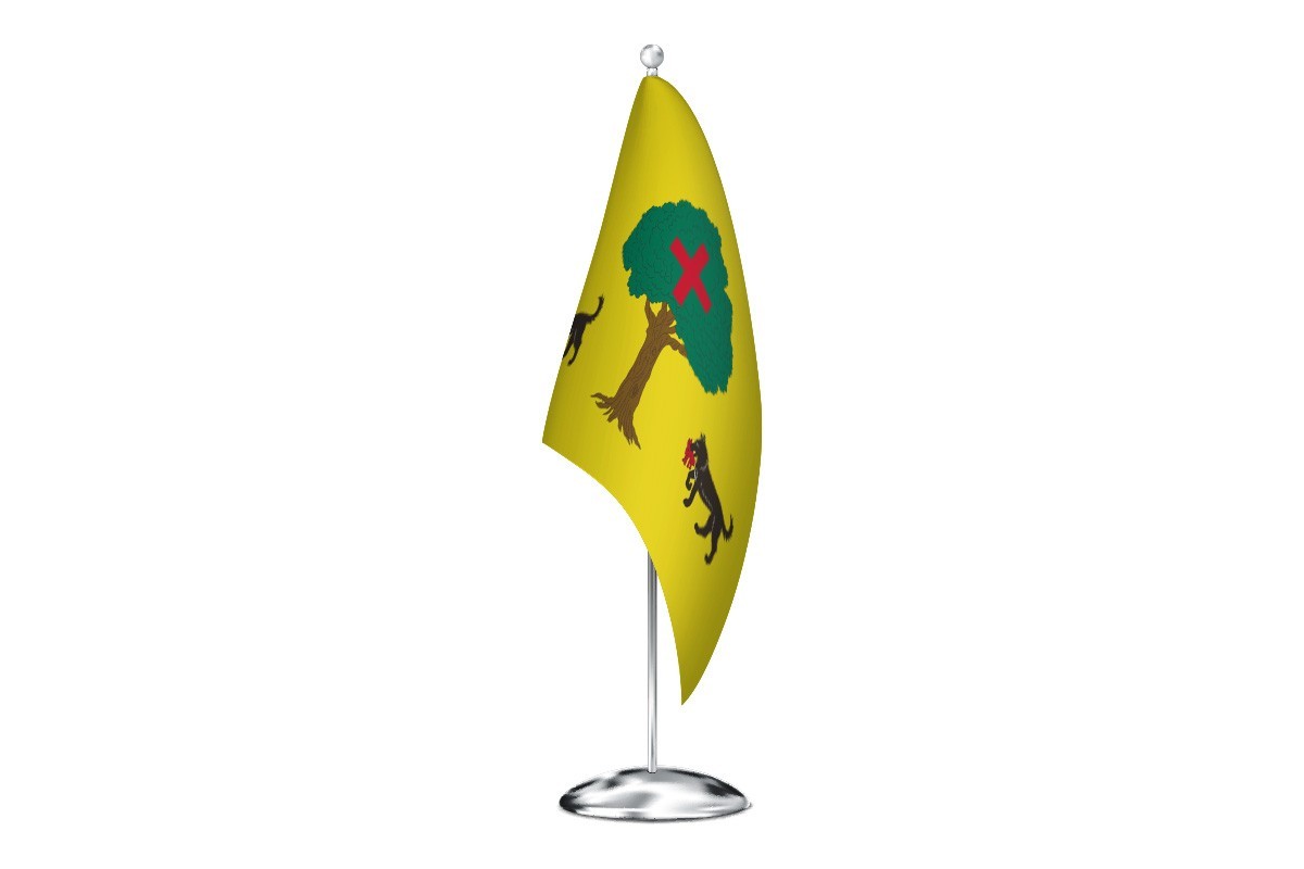 Bandera de despacho de Santa Cruz de la Salceda de alta calidad