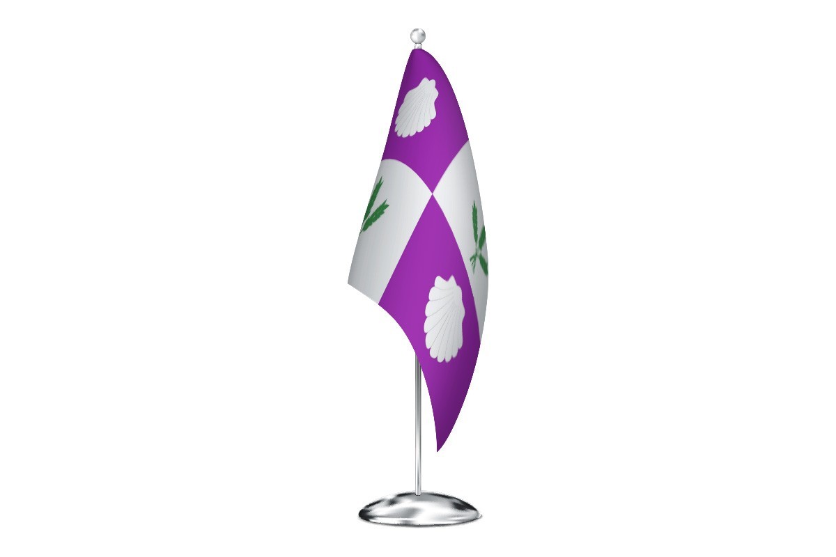 Bandera de despacho de Burgo Ranero de alta calidad
