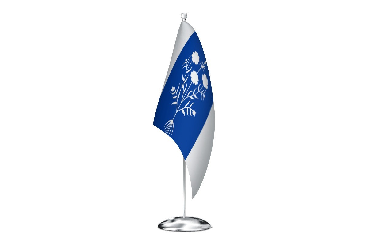 Bandera de despacho de Sancedo de alta calidad