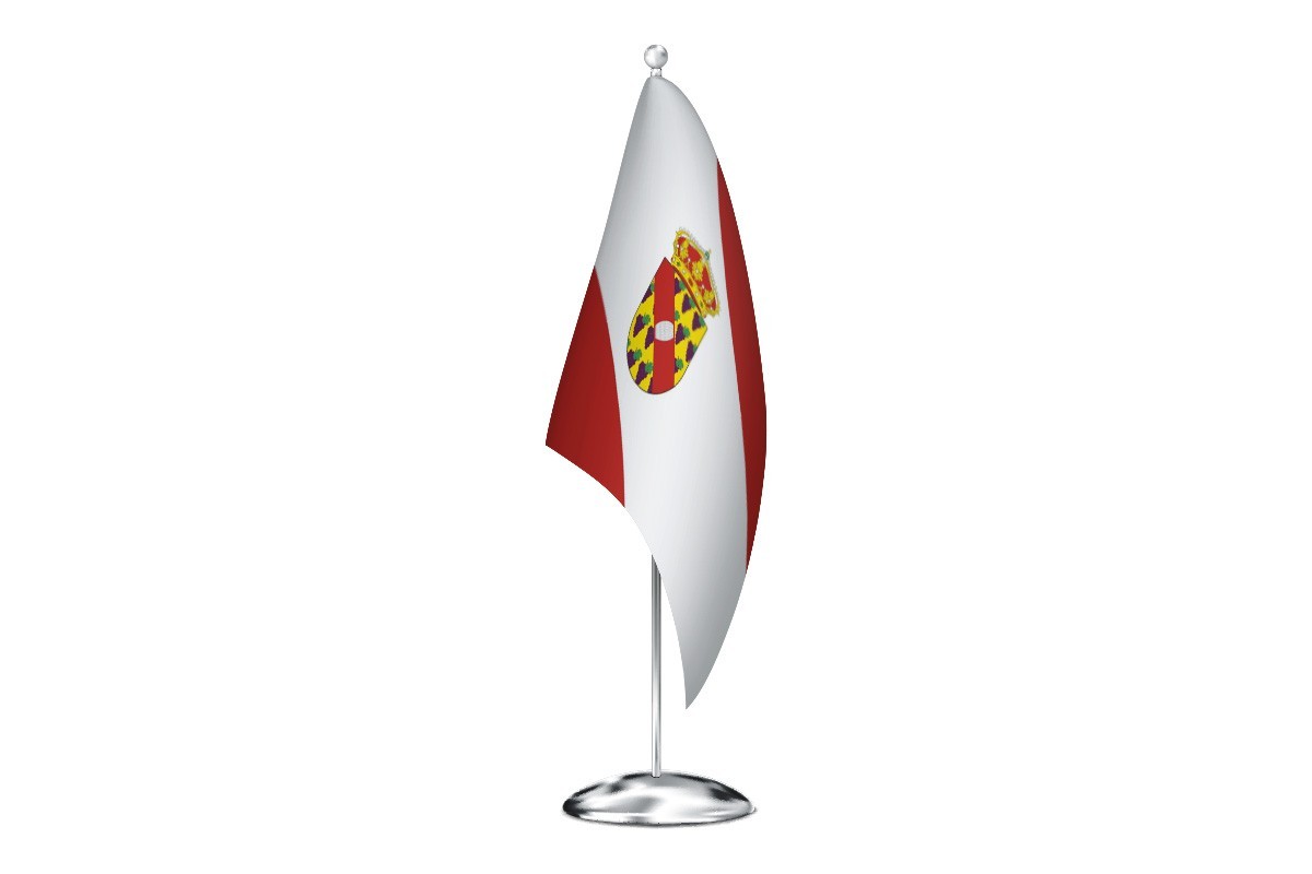 Bandera de despacho de Valdevimbre de alta calidad