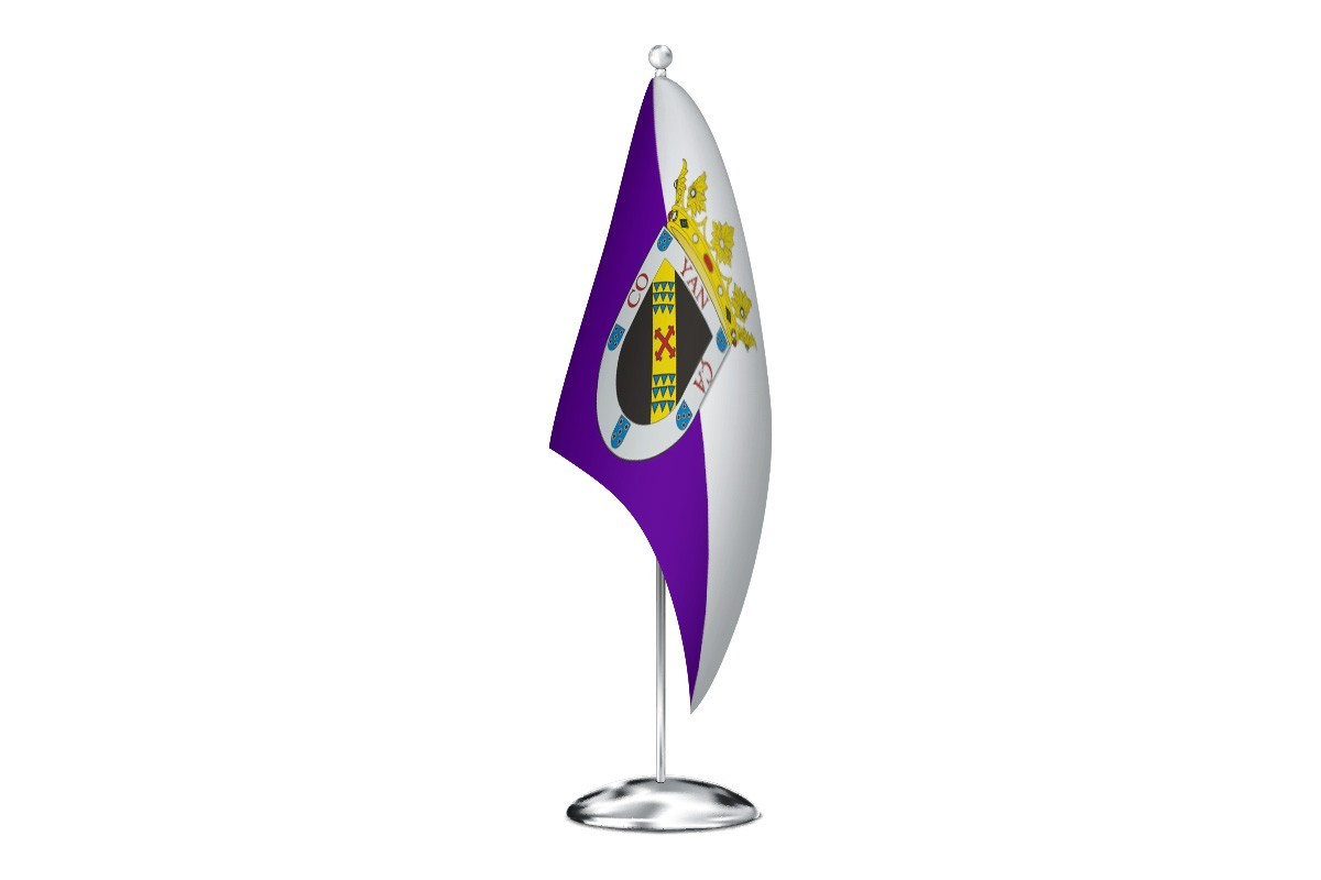 Bandera de despacho de Valencia de Don Juan de alta calidad