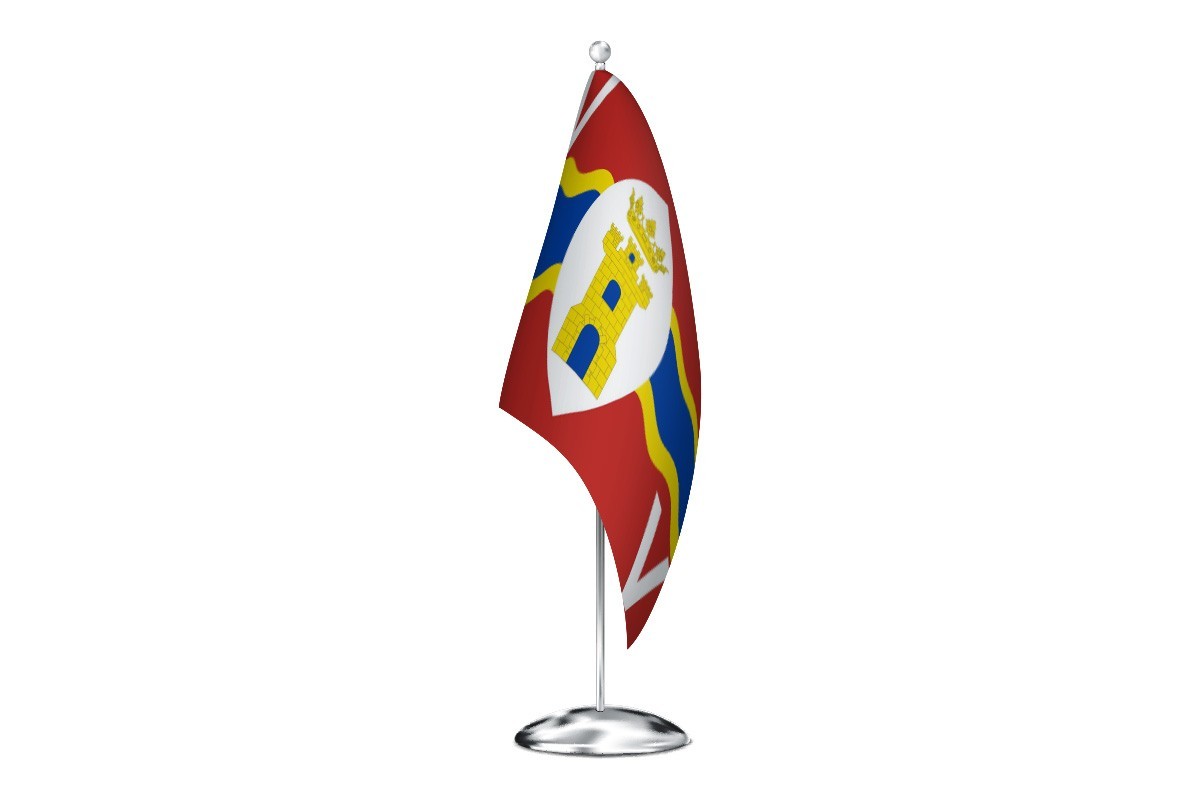 Bandera de despacho de Vallecillo de alta calidad
