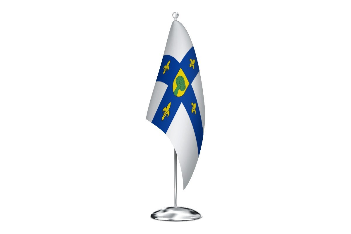 Bandera de despacho de Villaquejida de alta calidad