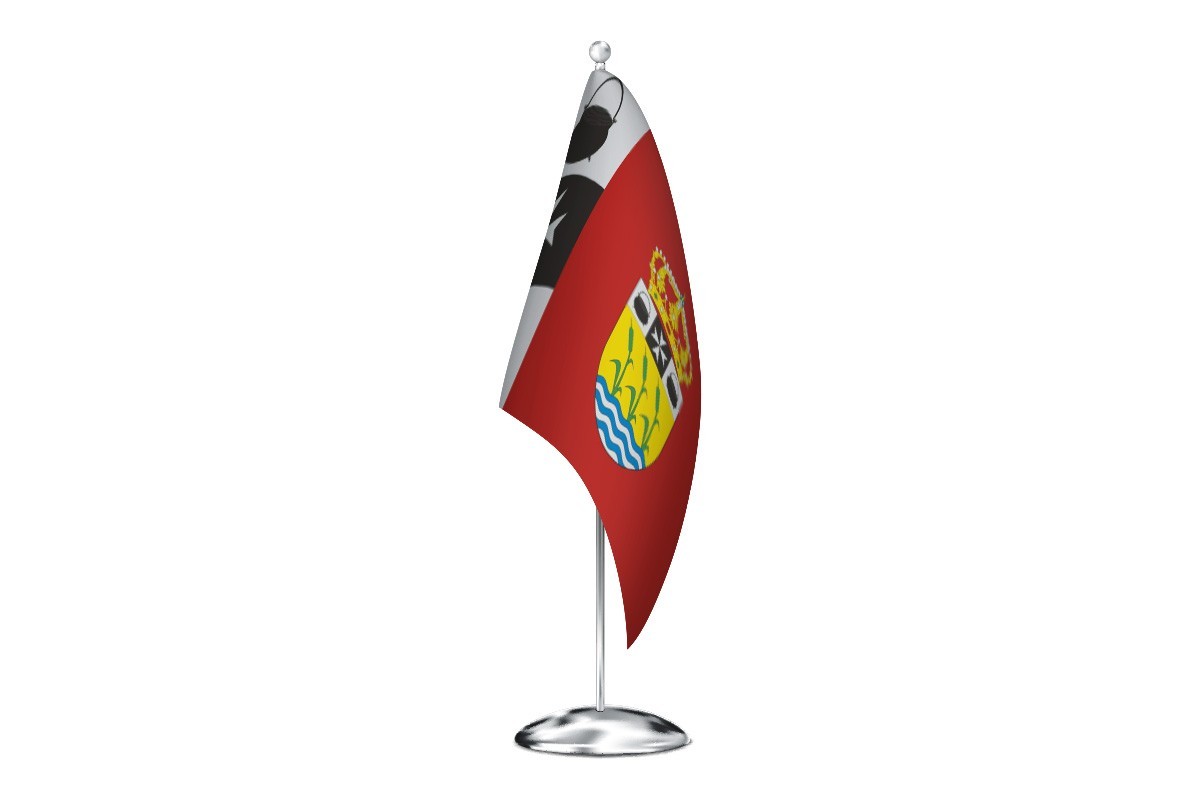Bandera de despacho de Reinoso de Cerrato de alta calidad