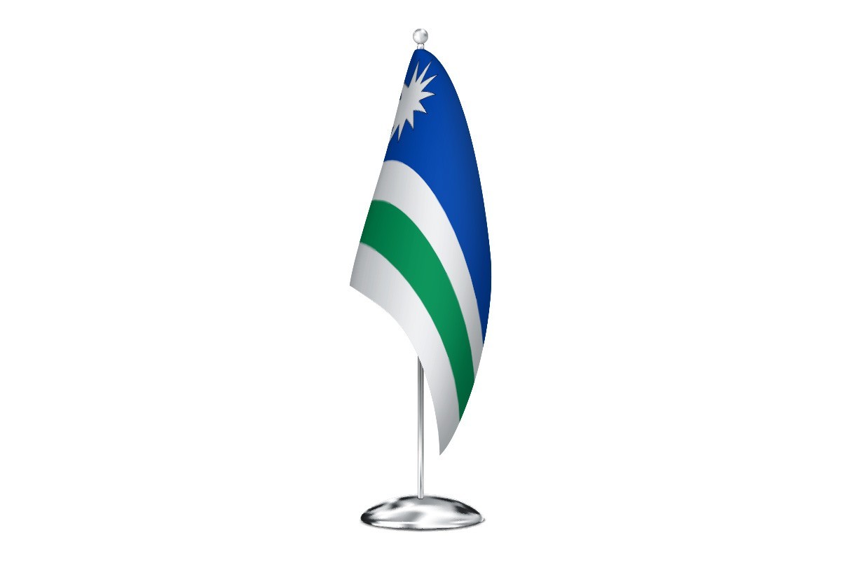 Bandera de despacho de Renedo de la Vega de alta calidad