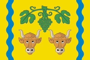 Bandera de Punxín de alta calidad para exterior 123