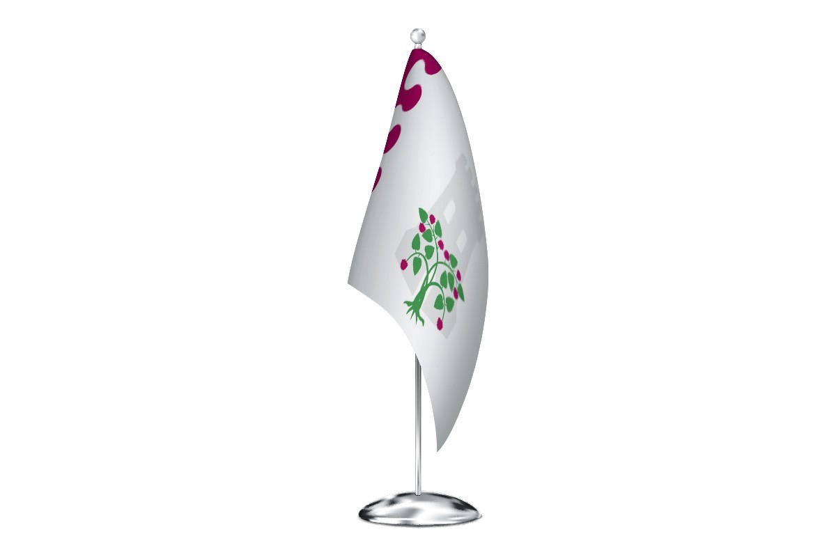 Bandera de despacho de Zarza de Pumareda de alta calidad