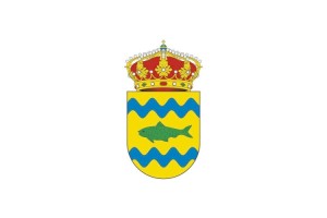 Bandera de Ribeira de Piquín de alta calidad para exterior 123