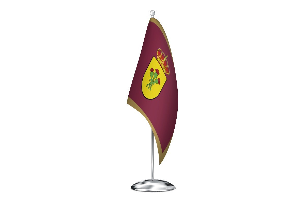 Bandera de despacho de Ayllón de alta calidad