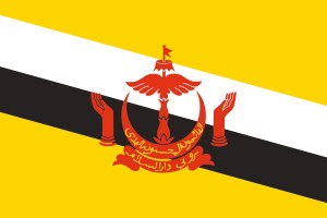 Bandera de Brunei con escudo de alta calidad para exterior 123