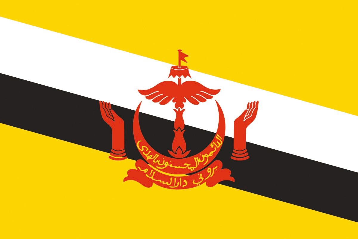 Bandera de Brunei con escudo de alta calidad para exterior Bandera de Brunei con escudo de alta calidad para exterior