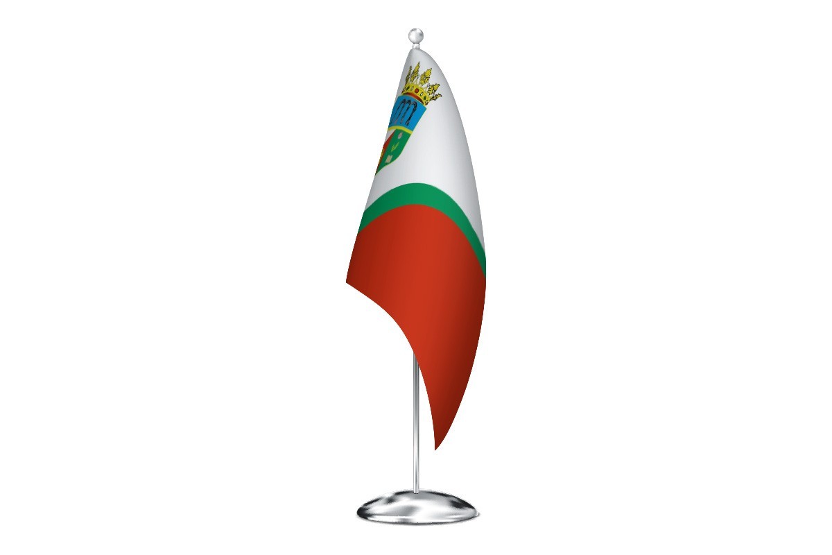 Bandera de despacho de Ceinos de Campos de alta calidad