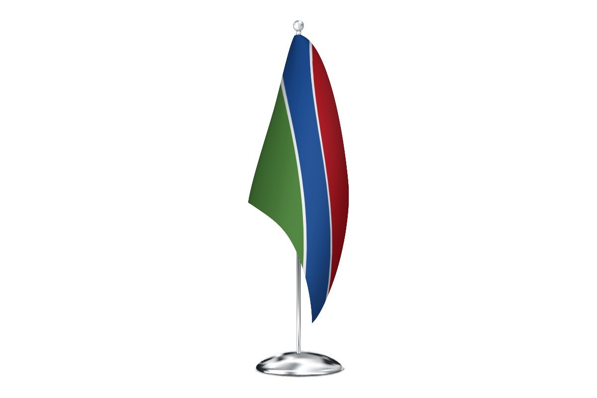 Bandera de despacho de Saelices de Mayorga de alta calidad