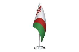 Bandera de despacho de Peñausende de alta calidad 123