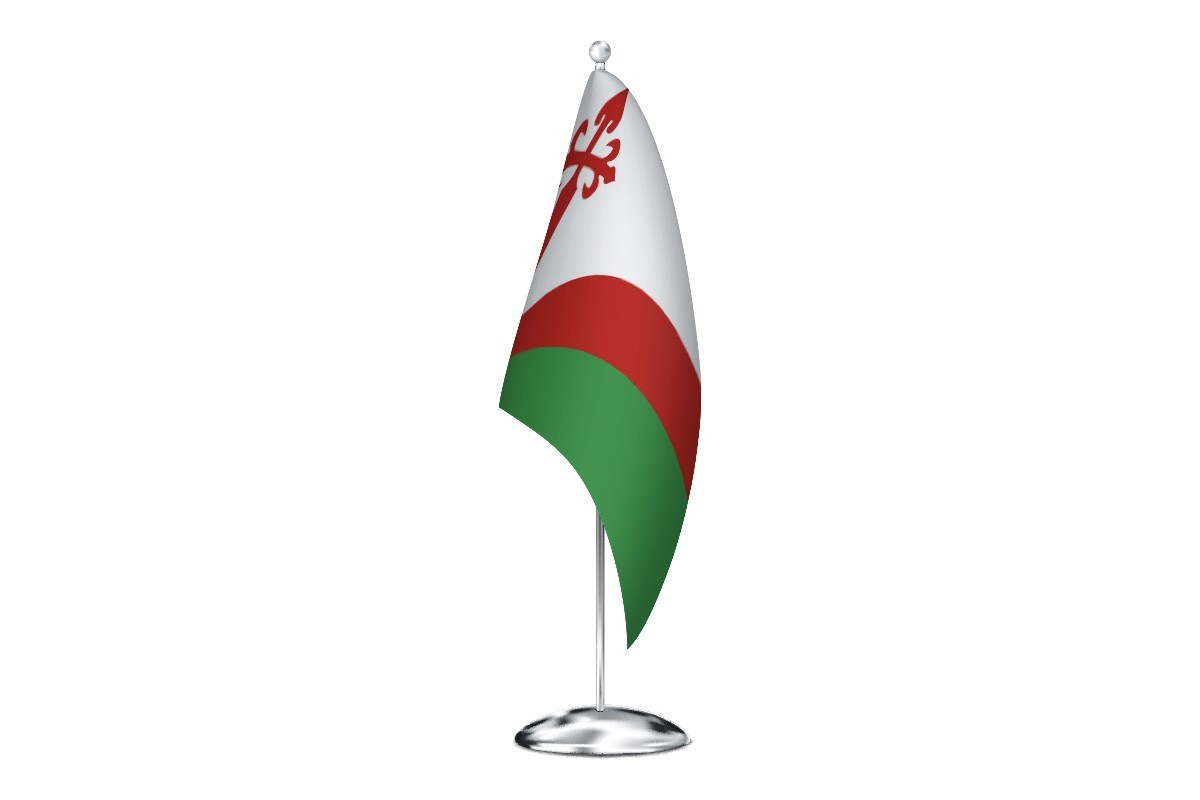 Bandera de despacho de Peñausende de alta calidad