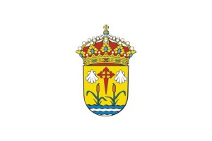 Bandera de Sarreaus de alta calidad para exterior 123