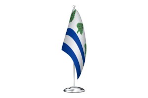 Bandera de despacho de Requejo de alta calidad 123