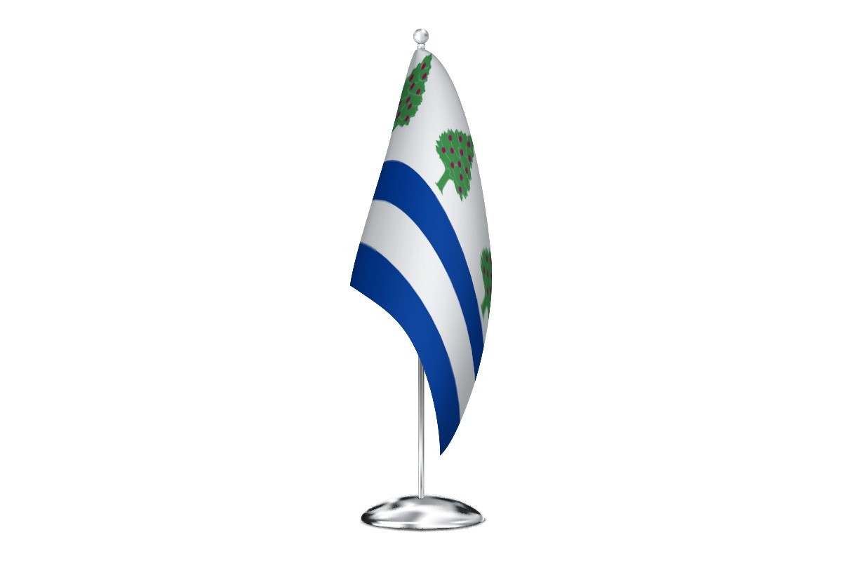 Bandera de despacho de Requejo de alta calidad