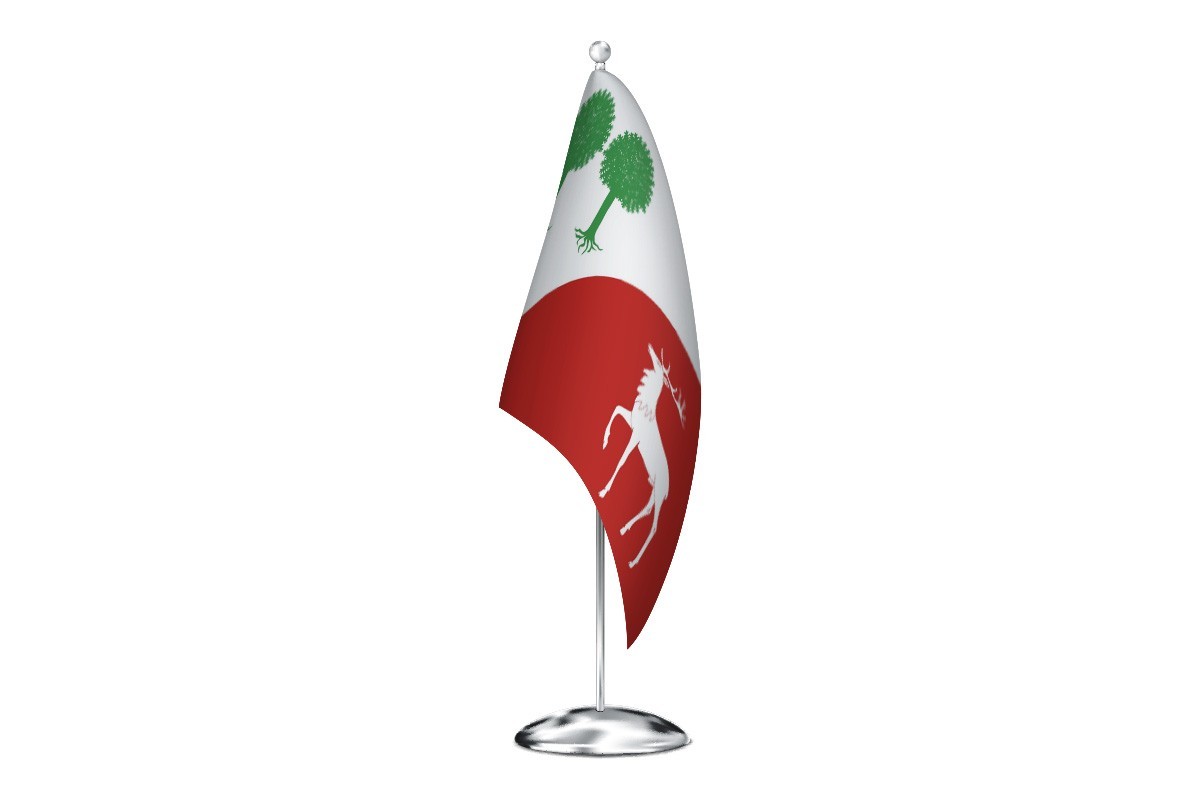 Bandera de despacho de Robleda de alta calidad