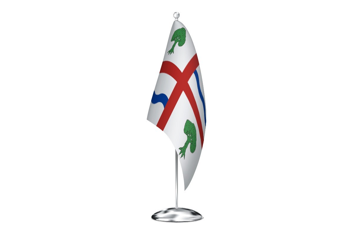 Bandera de despacho de Salce de alta calidad