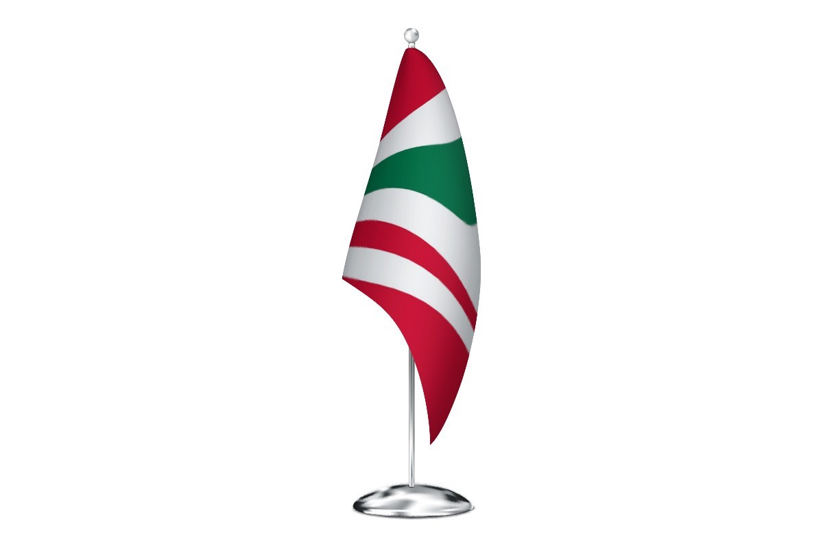 Bandera de despacho de Villaralbo de alta calidad