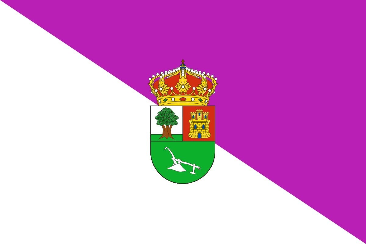 Bandera de despacho de Valdenebro de alta calidad