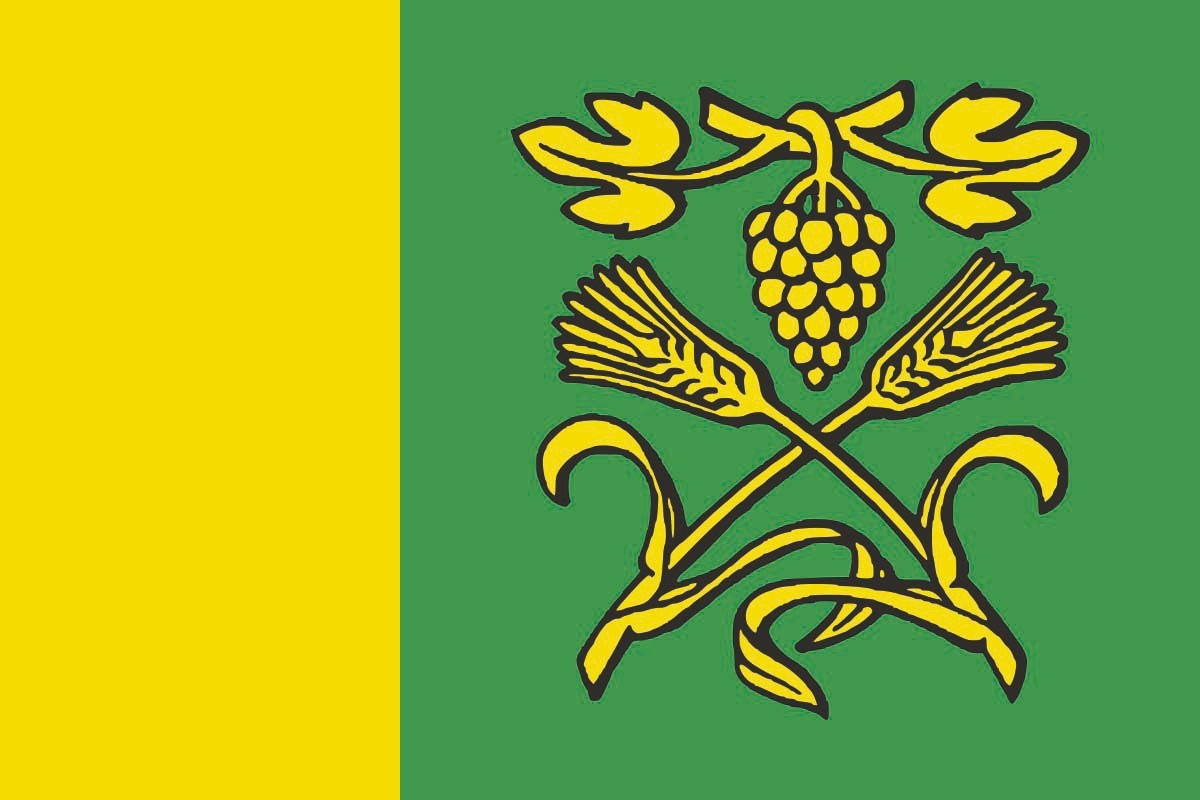 Bandera de Teixeira de alta calidad para exterior Bandera de Teixeira de alta calidad para exterior