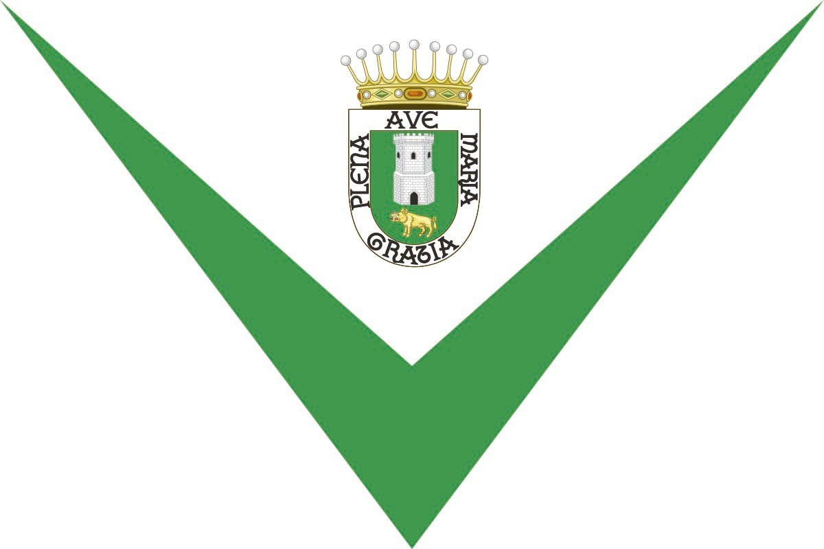 Bandera de Vilalba de alta calidad para exterior