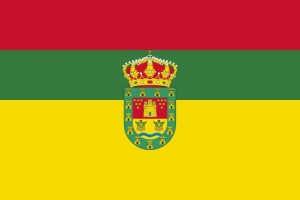 Bandera de despacho de Valle de Valdelucio de alta calidad