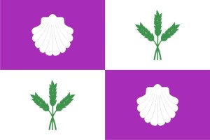 Bandera de despacho de Burgo Ranero de alta calidad Bandera de despacho de Burgo Ranero de alta calidad