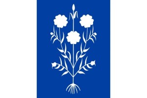 Bandera de despacho de Sancedo de alta calidad