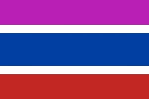 Bandera de despacho de Soto de la Vega de alta calidad