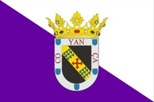 Bandera de despacho de Valencia de Don Juan de alta calidad