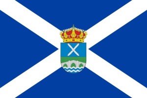 Bandera de despacho de Vega de Espinareda de alta calidad