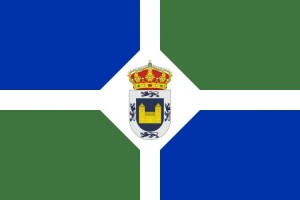 Bandera de despacho de Vegaquemada de alta calidad