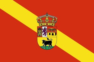 Bandera de despacho de Becerril de Campos de alta calidad