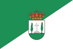 Bandera de Álamo de alta calidad para exterior 123