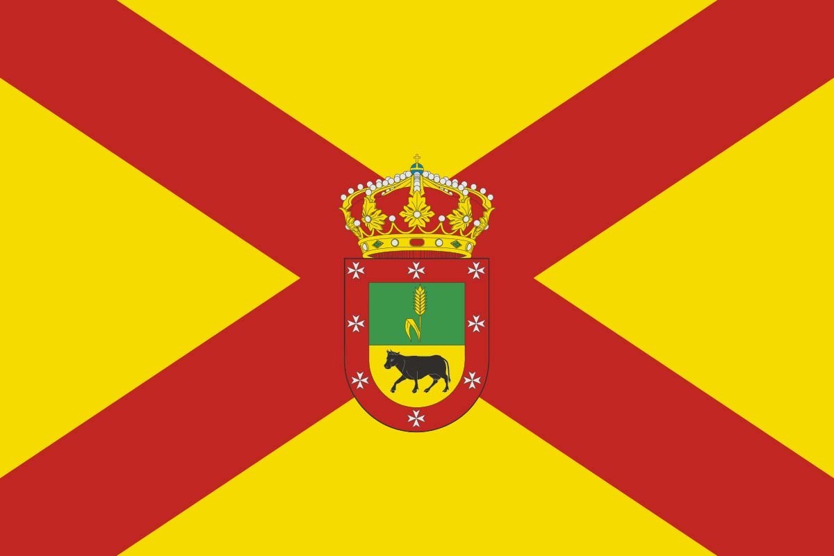 Bandera de despacho de Paradinas de San Juan de alta calidad