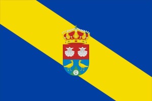 Bandera de despacho de Zarapicos de alta calidad