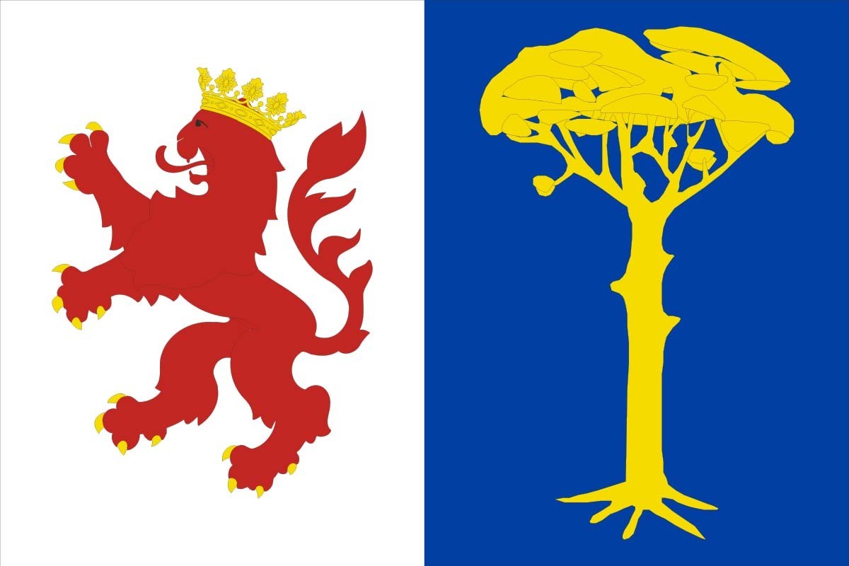 Bandera de despacho de Zorita de la Frontera de alta calidad