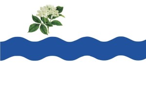 Bandera de despacho de Fuentesaúco de Fuentidueña de alta calidad Bandera de despacho de Fuentesaúco de Fuentidueña de alta calidad