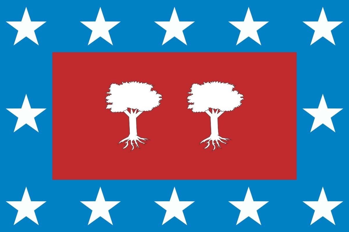 Bandera de despacho de Camporredondo de alta calidad Bandera de despacho de Camporredondo de alta calidad