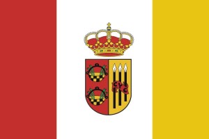 Bandera de Cenicientos de alta calidad para exterior 123