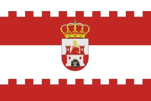 Bandera de despacho de Montamarta de alta calidad