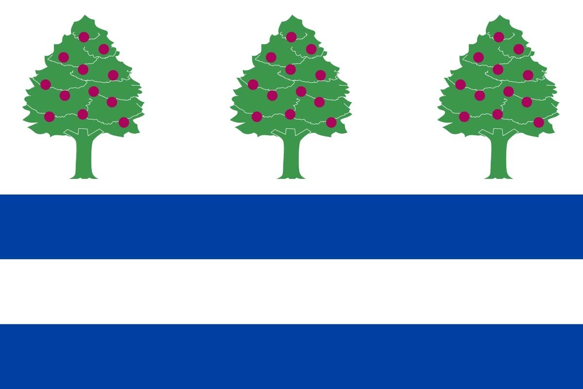 Bandera de despacho de Requejo de alta calidad