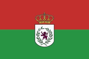 Bandera de Coslada de alta calidad para exterior 123