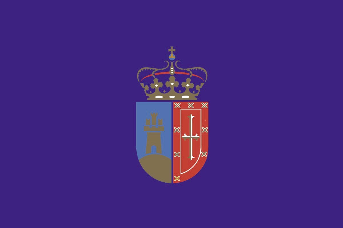 Bandera de Pozuelo de Alarcón de alta calidad para exterior
